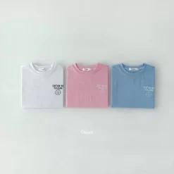 Alternative view of [Dsaint] Coton de Tulear T